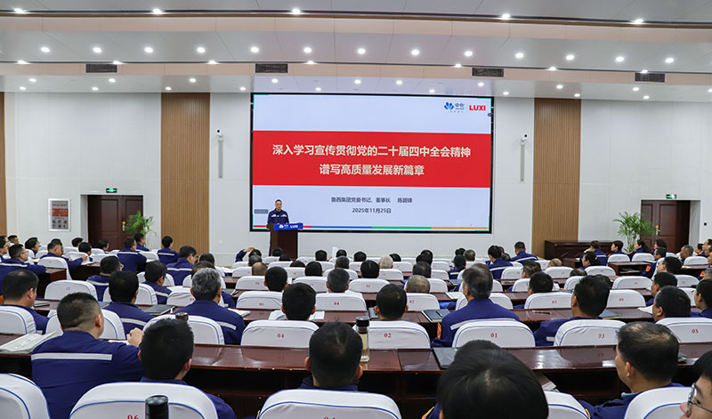 鲁西集团召开学习贯彻党的二十届四中全会精神宣讲会